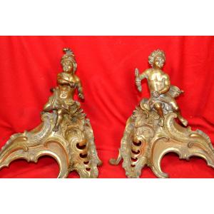 Pair Of Louis XV Style Bronze Andirons, 19th Century