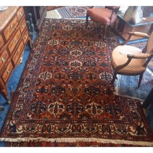 Hand-knotted Bakhtiar Type Carpet, Iran, Mid-20th Century