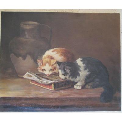 Deux  Chats    mangeant   Hst  