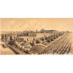 Architectural View. View Of Doctor Monprofit's Cellars In Champ-sur-layon (maine-et-loire). 