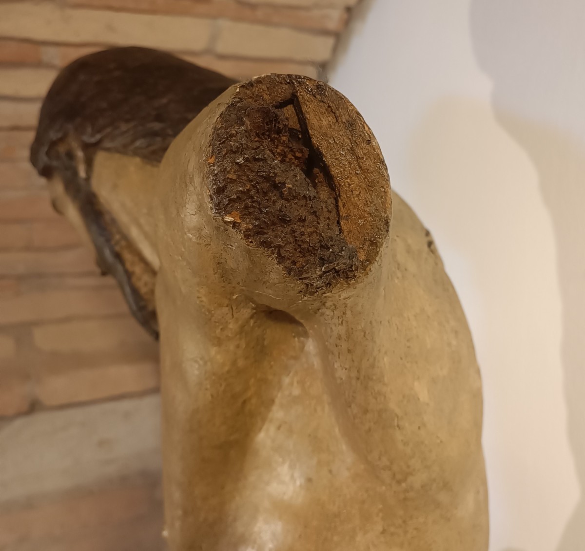 Torso Cristo ligneo policromo fine 500 Umbro-Toscano, alta classe-photo-5