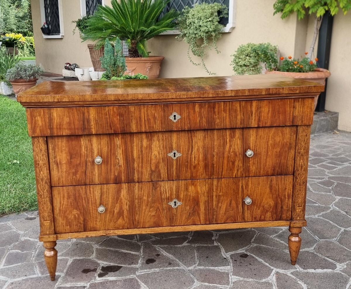 Cassettone faentino in noce Carlo X 1810-photo-2