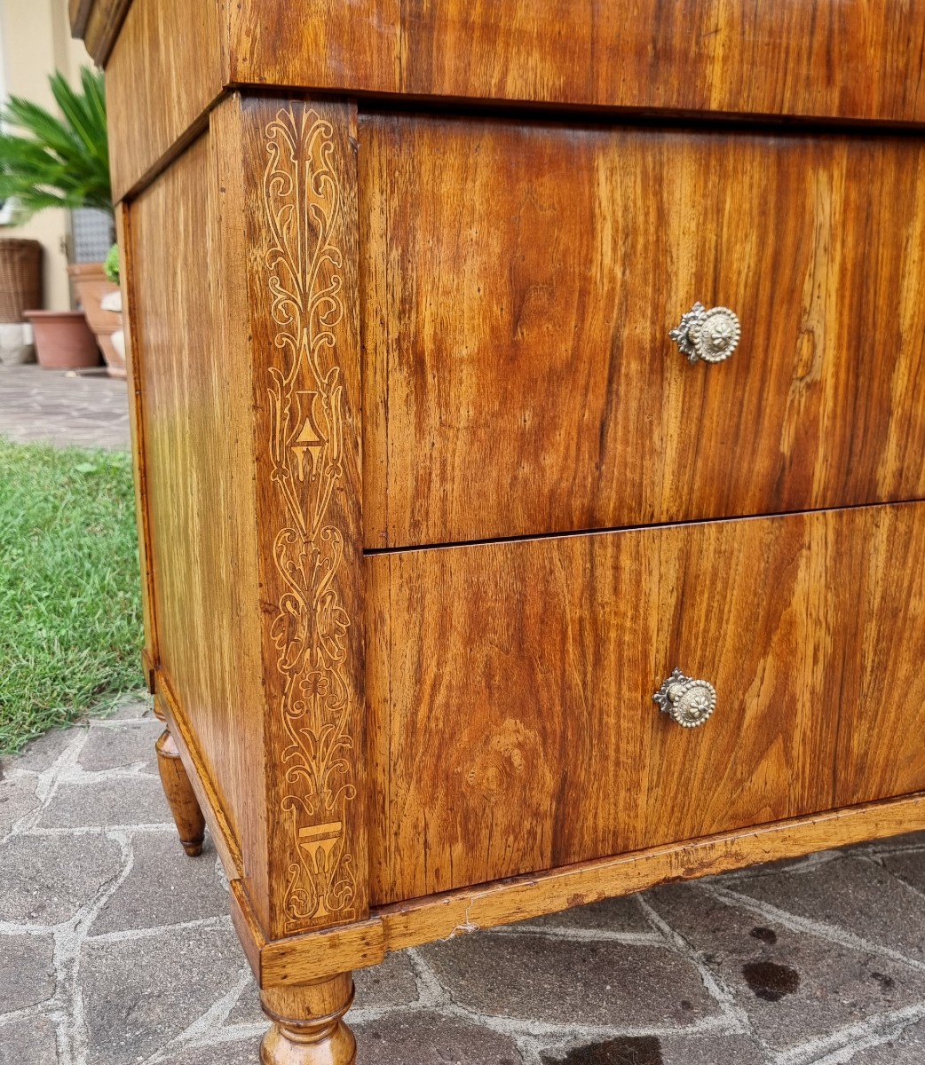 Cassettone faentino in noce Carlo X 1810-photo-4