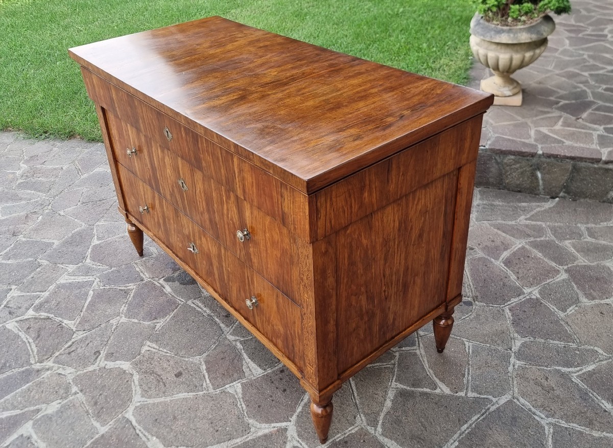 Cassettone faentino in noce Carlo X 1810-photo-2
