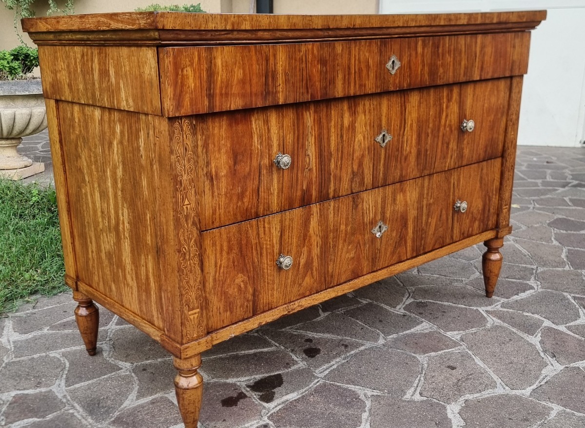 Cassettone faentino in noce Carlo X 1810-photo-3