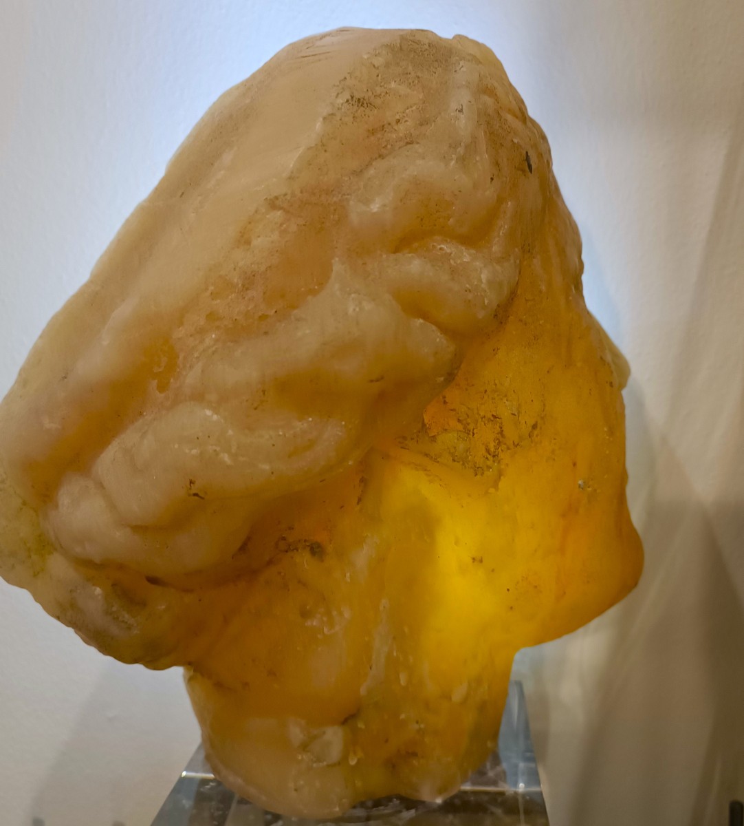 Scultura accademica del ‘900 in cera testa di Venere effetto ambra-photo-2