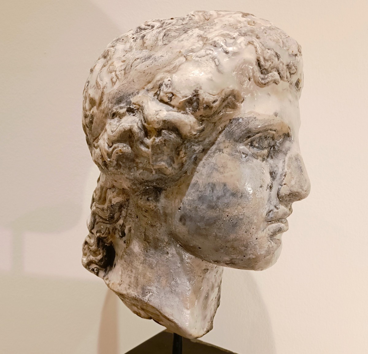 Scultura accademica primo 900 in cera – Testa di Hera-photo-2