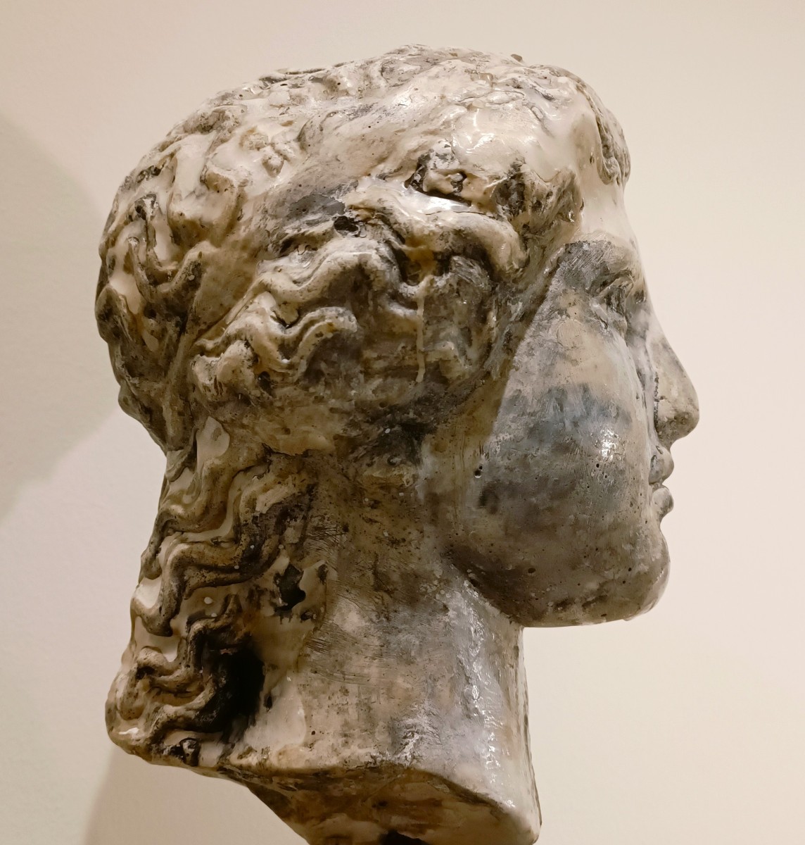 Scultura accademica primo 900 in cera – Testa di Hera-photo-3