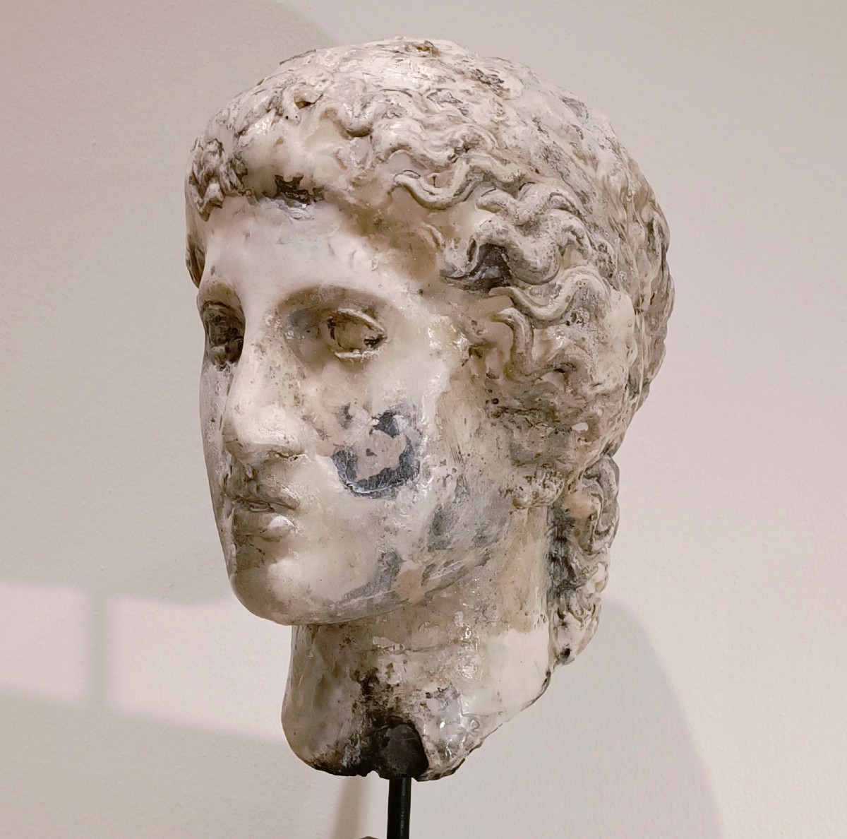 Scultura accademica primo 900 in cera – Testa di Hera-photo-1