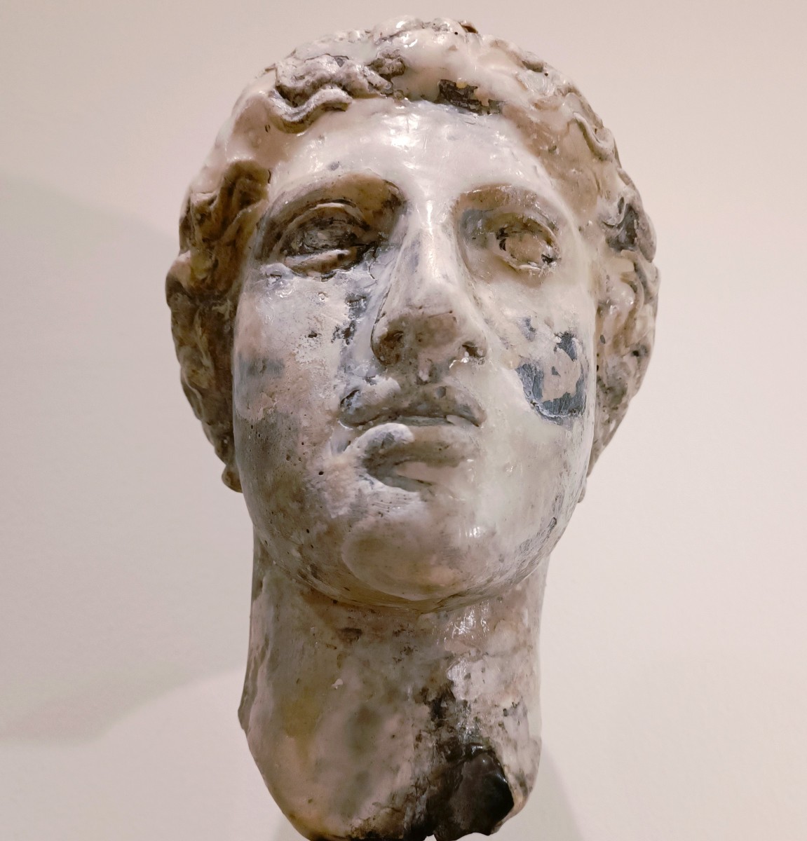 Scultura accademica primo 900 in cera – Testa di Hera-photo-3