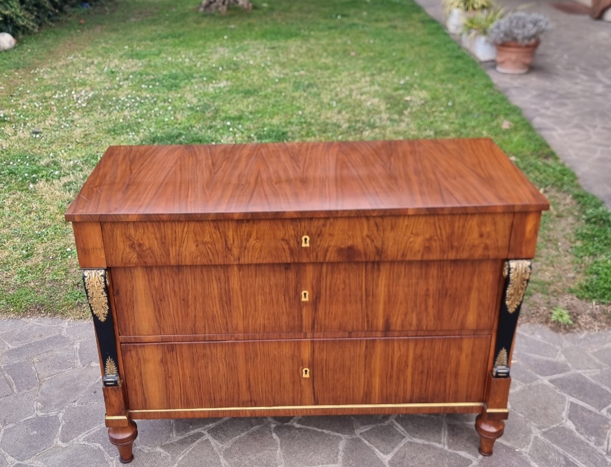 Cassettone Impero 1820 noce lastronato Lago di Garda-photo-3