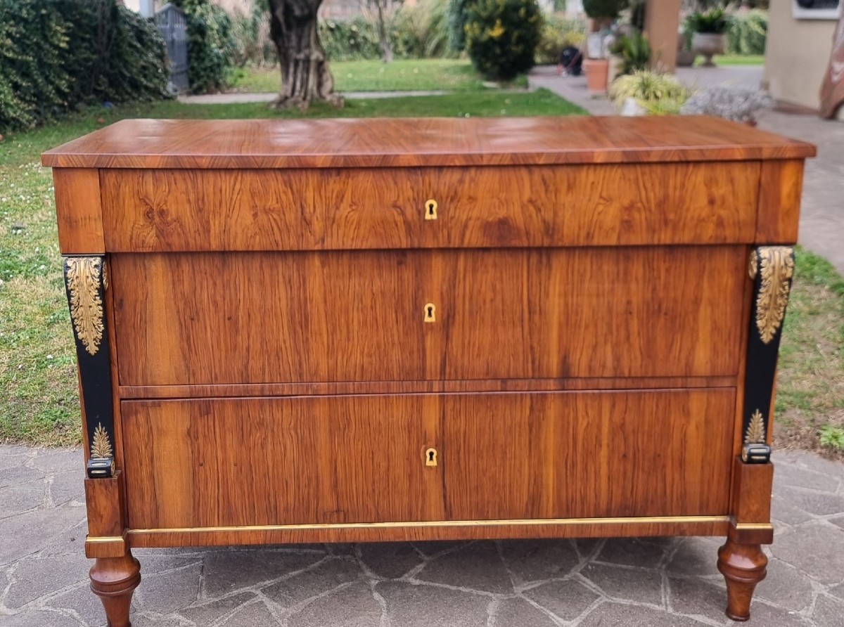 Cassettone Impero 1820 noce lastronato Lago di Garda-photo-4