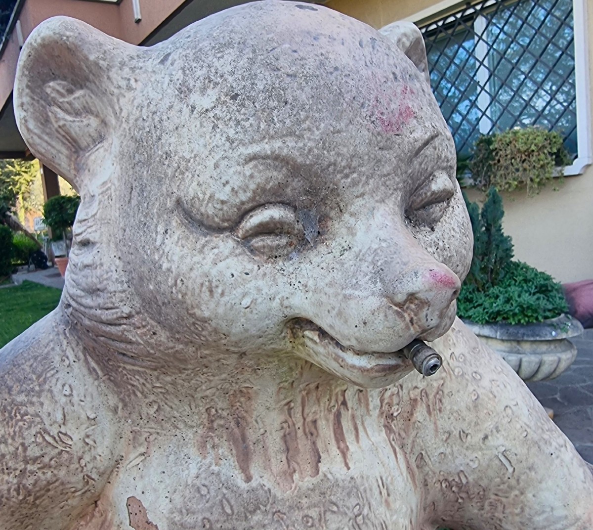 Orsetto in terracotta del 1900 firmato Heissner-photo-1