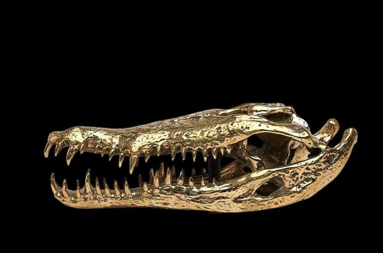 Testa di coccodrillo in bronzo dorato-photo-2