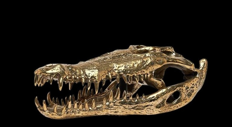 Testa di coccodrillo in bronzo dorato-photo-3