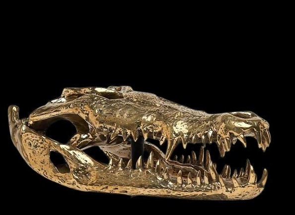 Testa di coccodrillo in bronzo dorato-photo-3