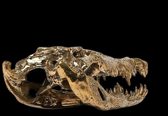 Testa di coccodrillo in bronzo dorato-photo-4