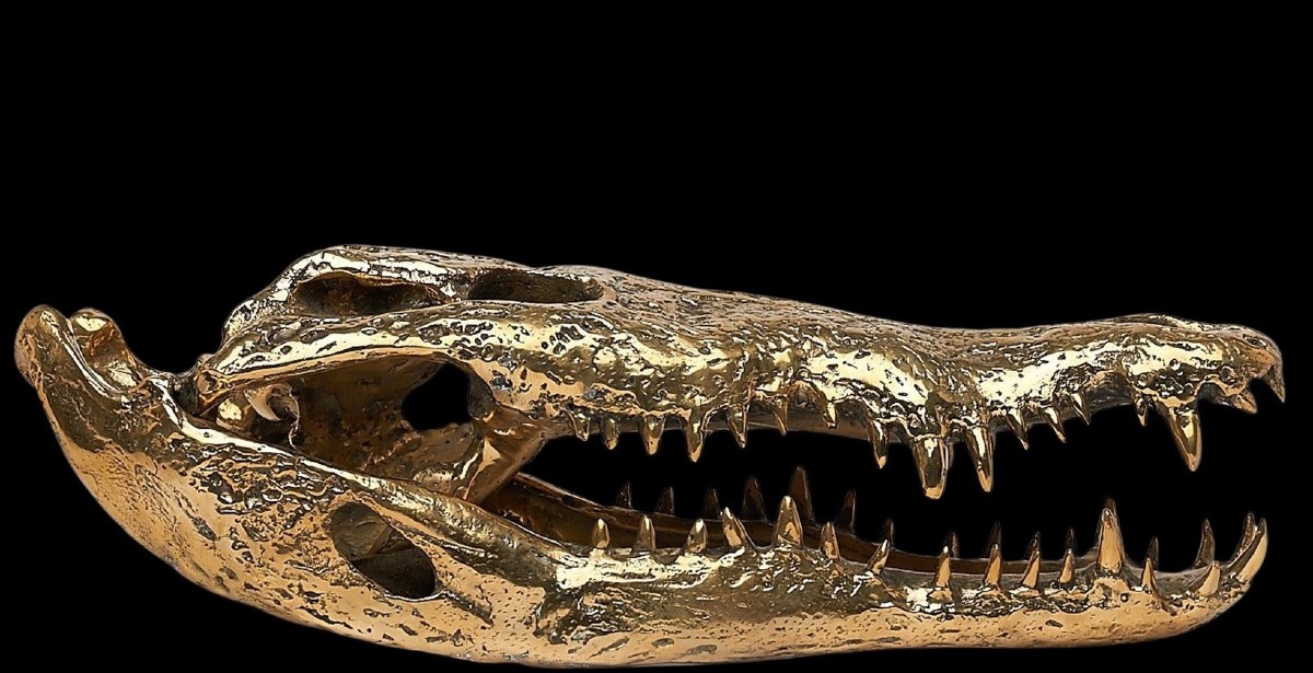 Testa di coccodrillo in bronzo dorato-photo-5