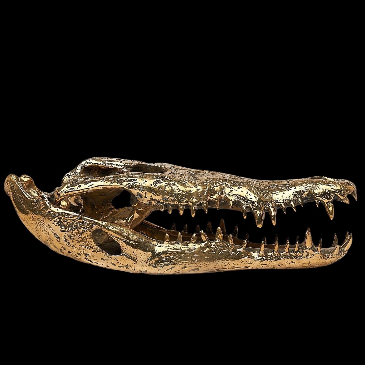 Testa di coccodrillo in bronzo dorato