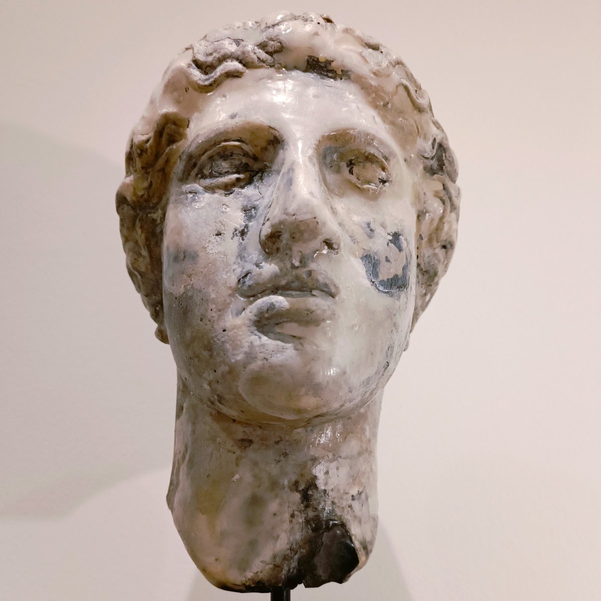 Scultura  1920 in cera – Testa di Giunone da accademia scultura parigina-photo-2