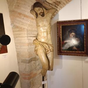 Torso Cristo ligneo policromo fine 500 Umbro-Toscano, alta classe