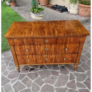 Cassettone faentino in noce Carlo X 1810
