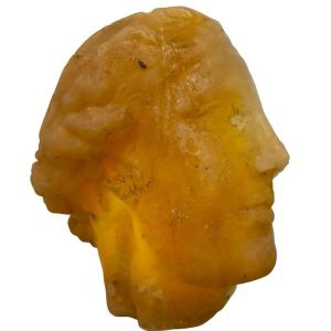 Scultura accademica del ‘900 in cera testa di Venere effetto ambra
