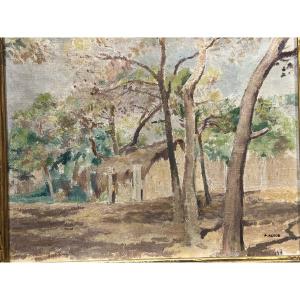 Armand Assus, Painter From Algeria 