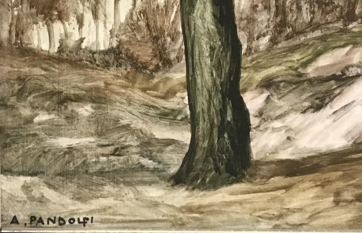 PANDOLFI ALESSANDRO - Il Santuario delle Stimmate. La Verna-photo-3