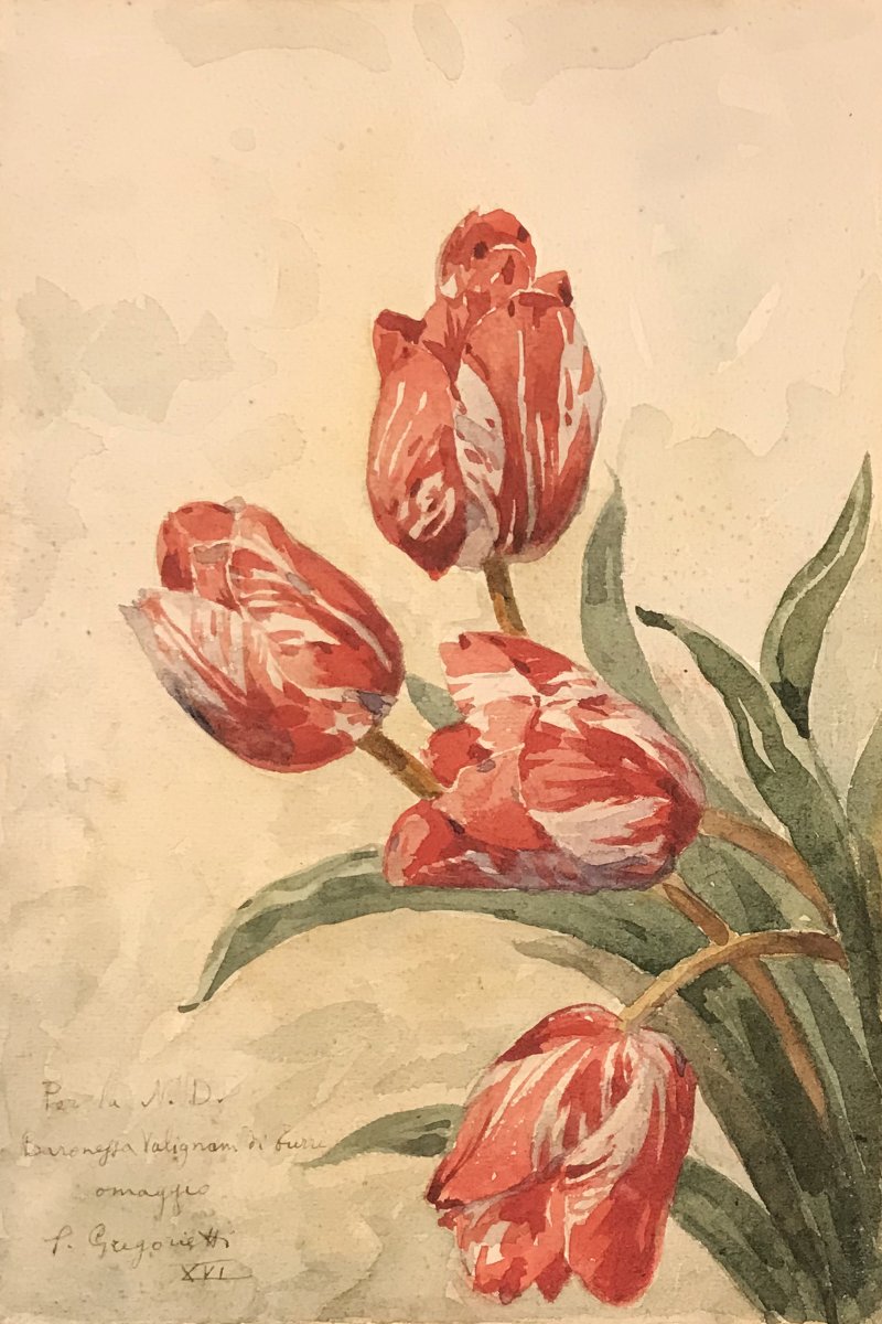 SALVATORE GREGORIETTI - Tulipani rosa  XVI - 1937-photo-2