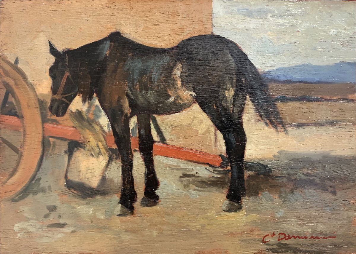 CARLO DOMENICI - Il cavallo del genderme-photo-2