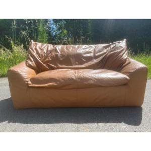 Steiner Paris 2 Seater Sofa Leather Camel Brown Mario Bellini Togo De Sede