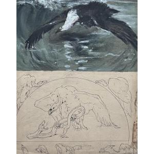 Casimir Brau-simon, A Seagull - A Vulture, Studies In Gouache And Pen