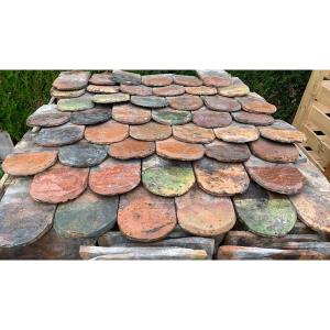 Burgundy Varnished Shell Tiles
