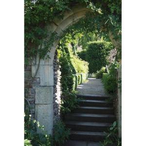 Outside Limestone Steps - XVIII Th Century
