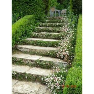 Steps And Degrees - Interior Or Exterior - 17th And 18th Century