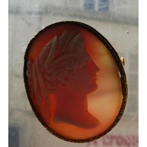Oval Brooch Cameo Shell Bust Profile Young Woman Draped In The Antique 18k Gold Frame Nineteenth Century
