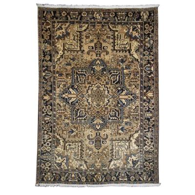 Heriz Circus 1950 Persian Rug