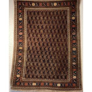 Shirvan Caucasus Carpet 1.50 X 1.07