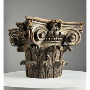 Oak Tree In The French Capital, 18th Century