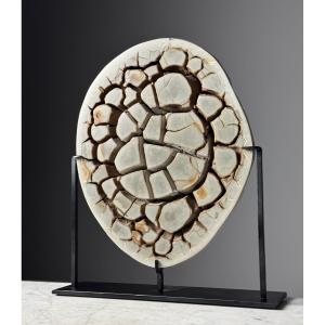 Septarian Nodule On Foot