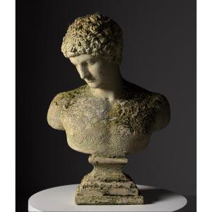 Plaster Bust Of Hermes