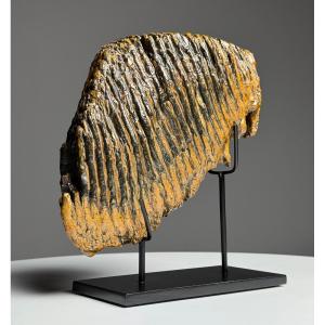 Mammoth Tooth On Base