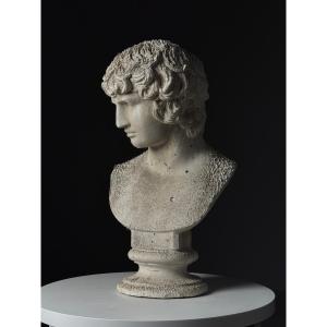 Antinous Bust In Plaster