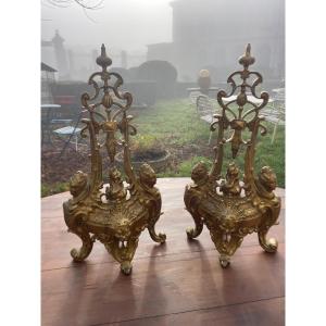 19th Century Bronze Andirons