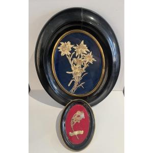 Old Napoleon 3 Herbariums, Blackened Wood 