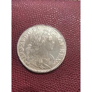 Shield Of France-navarre, Louis XV 