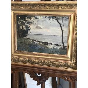 Lake Landscape