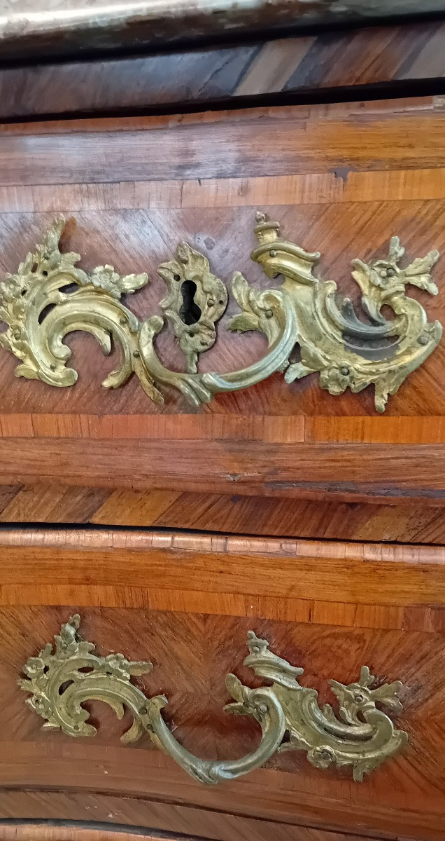 antico cassettone Luigi XIV in ebano violetto e legno di rosa-photo-4