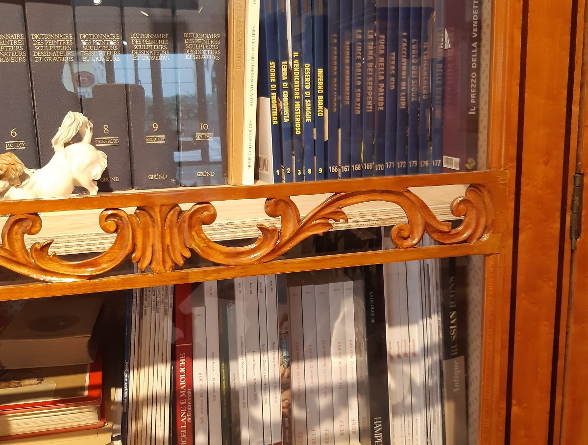 antica libreria Carlo X° in acero, 1830 circa-photo-4